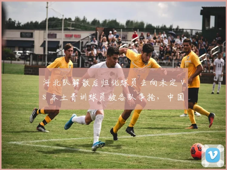 河北队解散后归化球员去向未定 vs 本土青训球员被各队争抢,中国足球人才储备的冰火两重天
